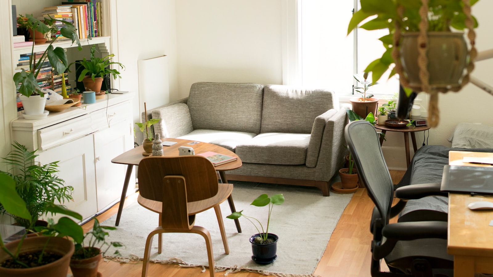 A breezy coastal living room with white walls, soft blue cushions, natural textures, and sheer curtains by a window